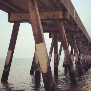 Meet your Posher, Meredith